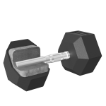 Afbeeldingen van Hex Rubber Dumbbells